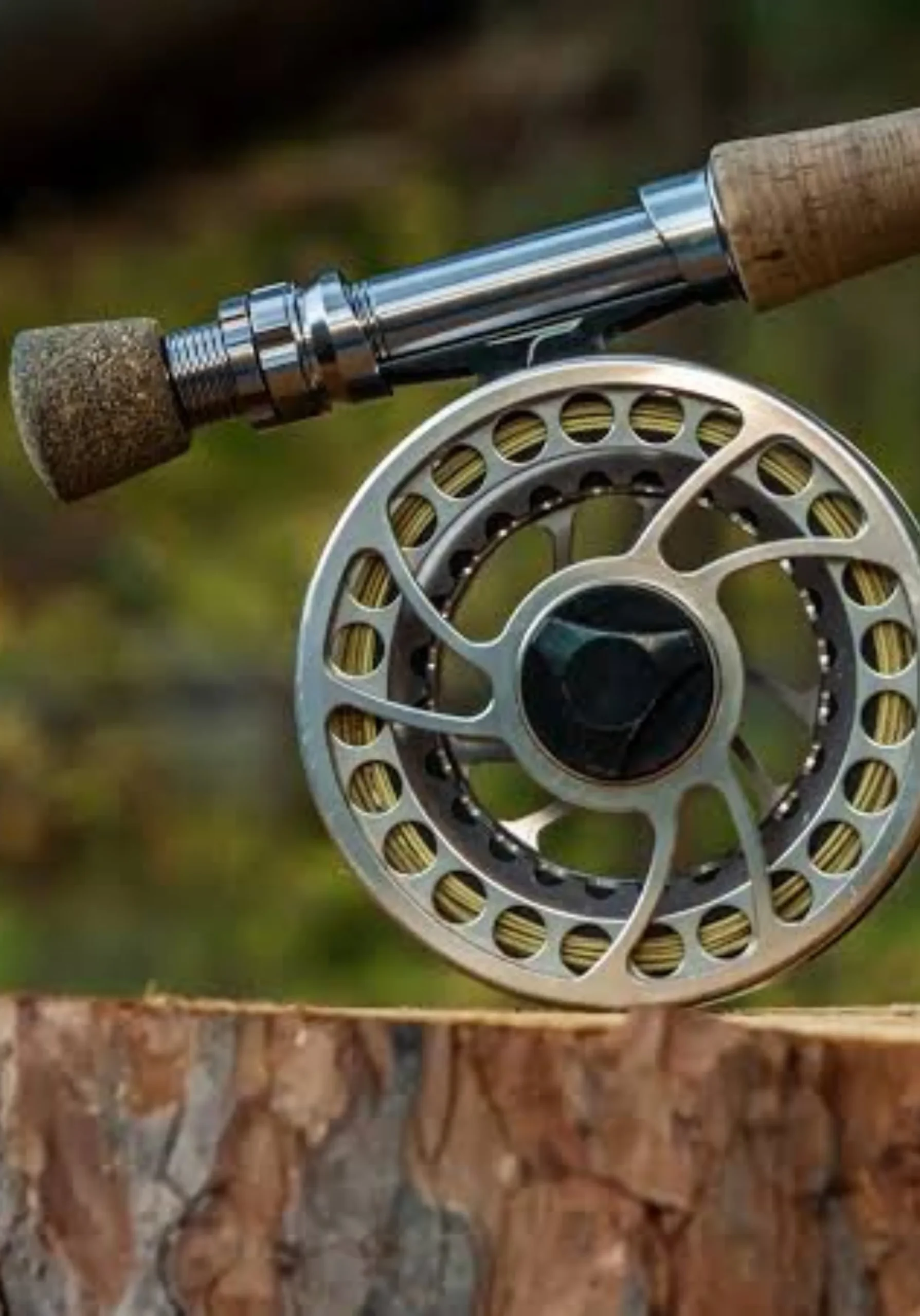 Best 3 Wt Fly Rods for 2025 3 Temple Fork Outfitters BVK Fly Rods
