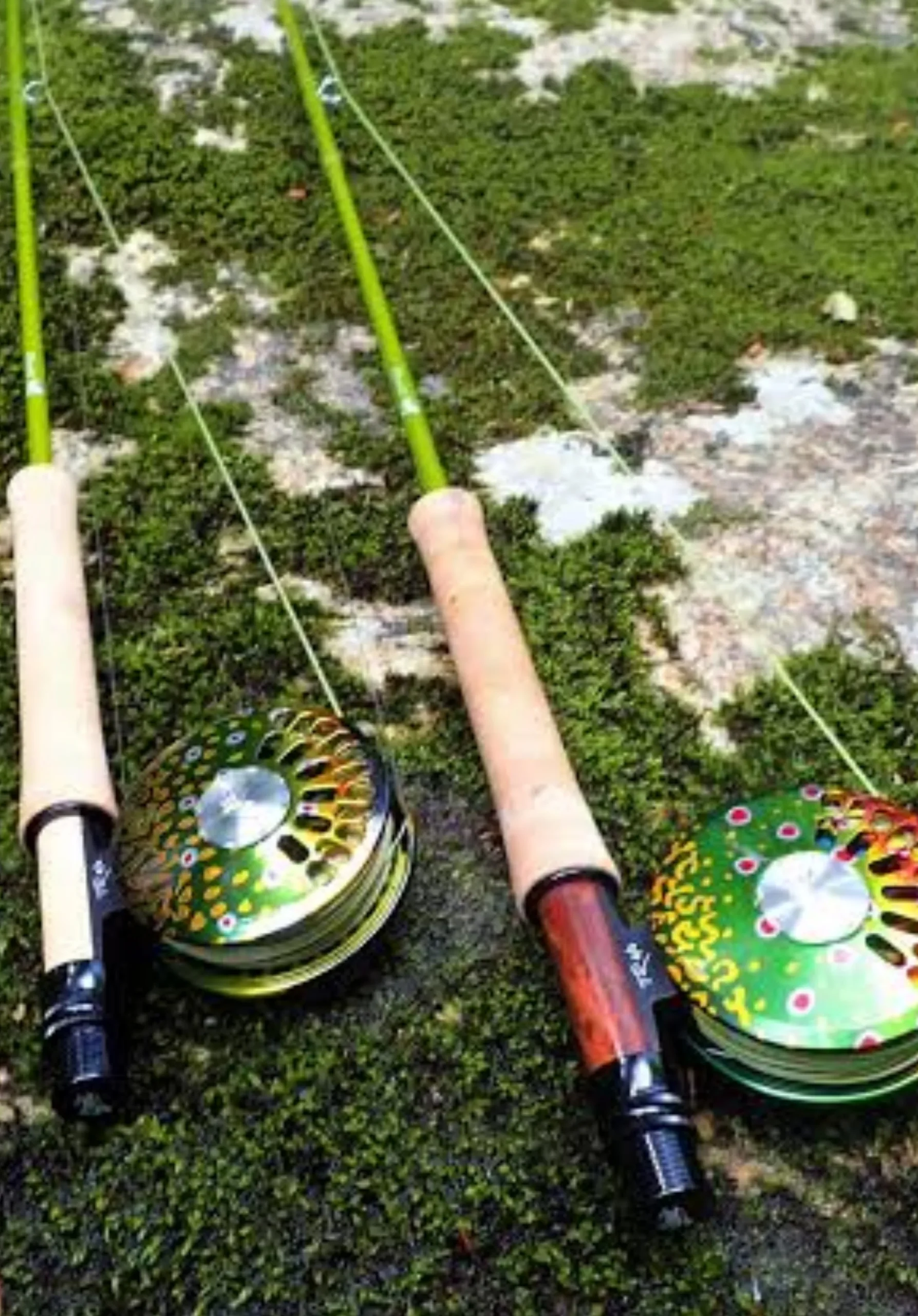 Best 3 Wt Fly Rods for 2025 6 Epic 370 FastGlass Fly Rod